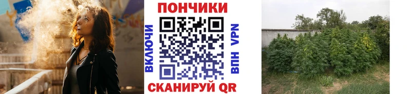 закладка  Верхний Уфалей  Каннабис VHQ 